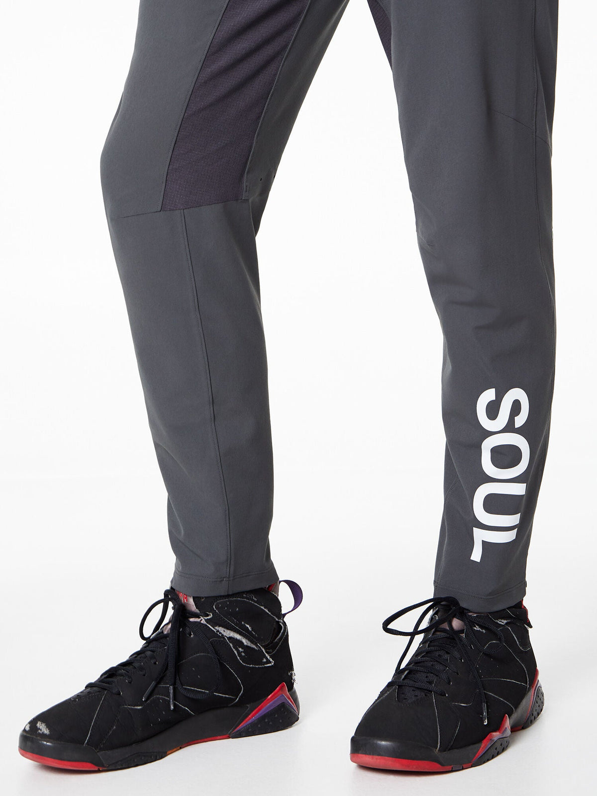 License To Train Pant 29"